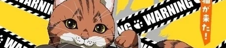 活死喵之夜