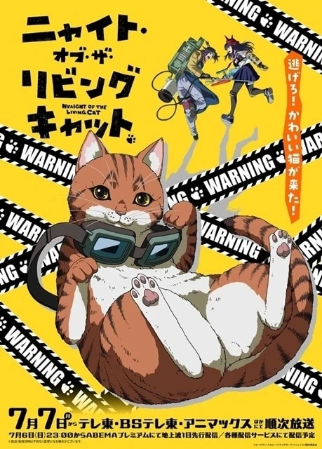 Night of the Living Cat