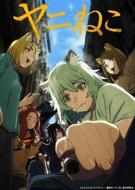 Chainsmoker Cat